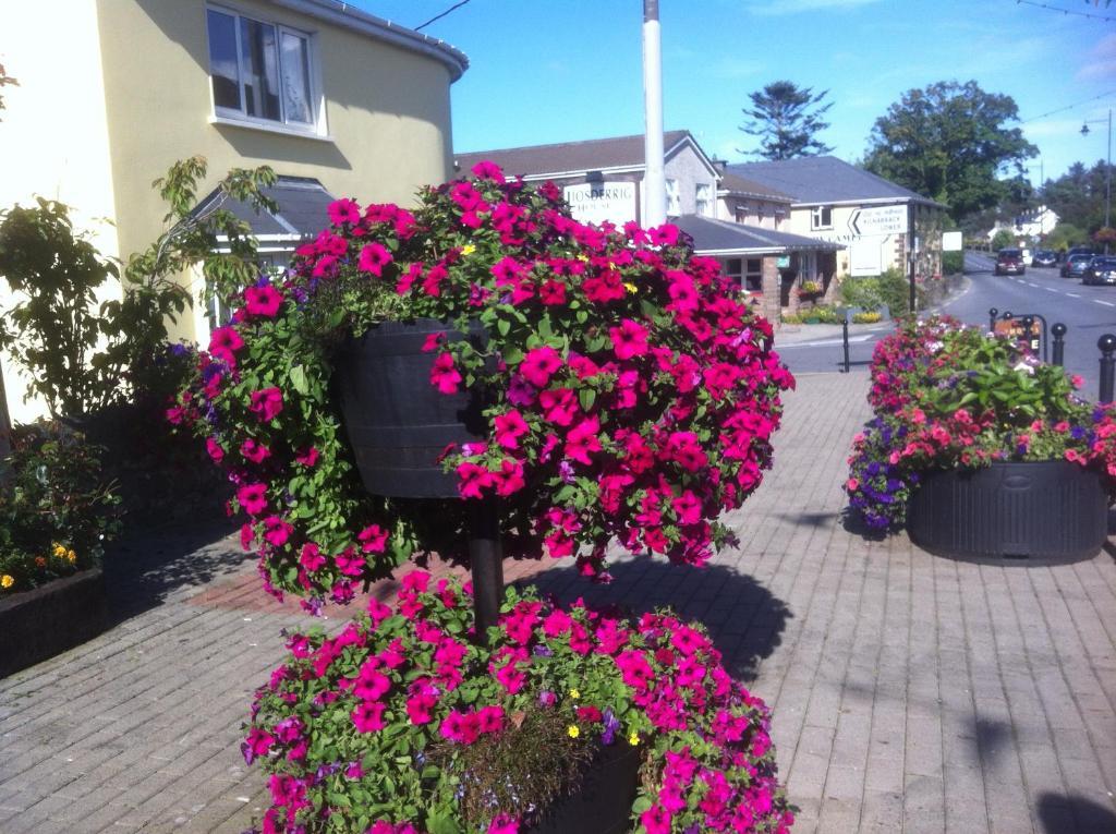 Liosderrig House B&B Glenbeigh Exterior foto